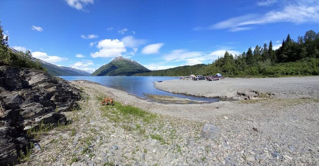 Oyster Lady Homer, Ak Bagian luar foto