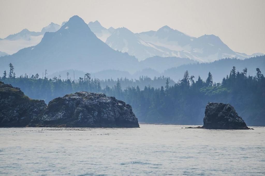 Oyster Lady Homer, Ak Bagian luar foto