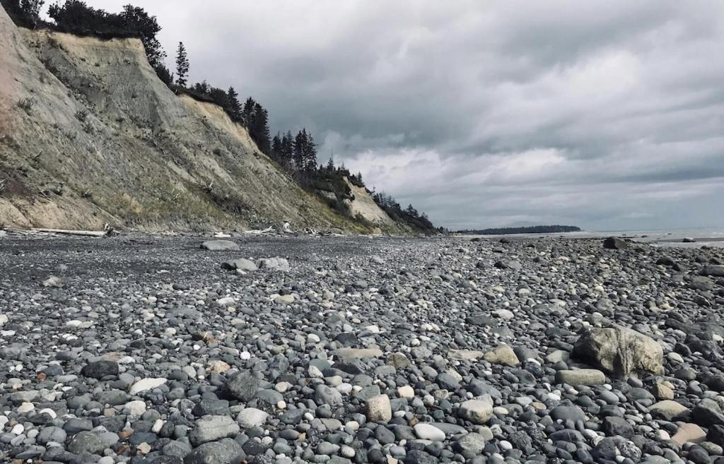 Oyster Lady Homer, Ak Bagian luar foto